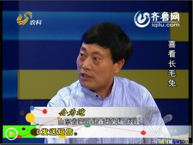 長毛兔疥癬病需要做好的防治的要點