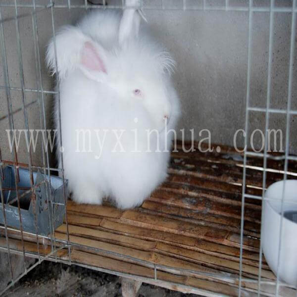 20220708113415533.jpg 20220708113415533.jpg