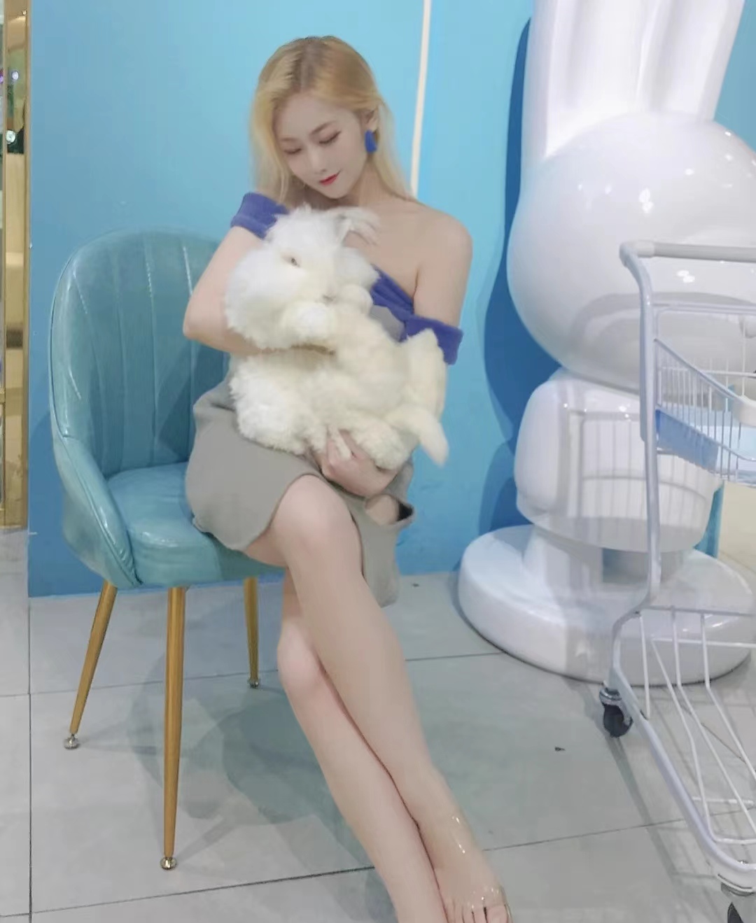 長毛兔養殖技術：球蟲病的防治